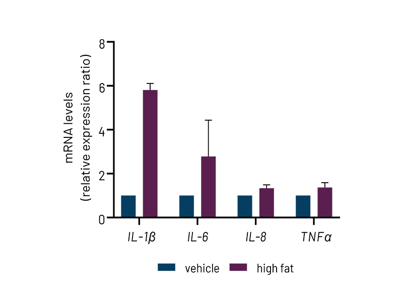 MASLD page Fig 4b